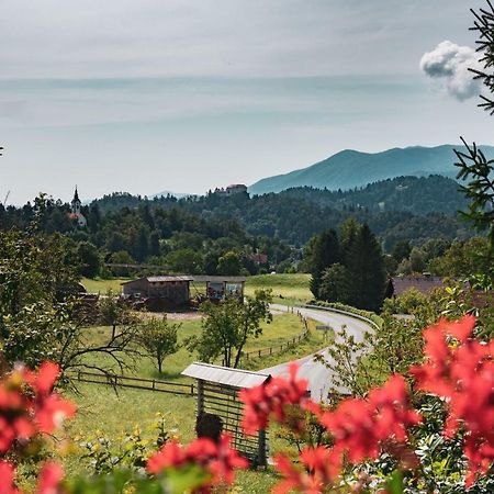 Apartmaji Retro Spodnje Gorje エクステリア 写真